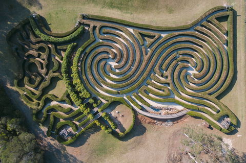Bago Maze And Wine - Accommodation Whitsundays 0
