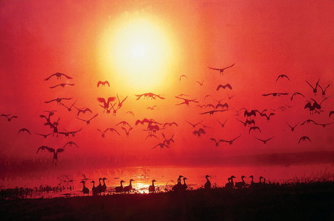 Cool Spot Cafe - Fannie Bay - Accommodation Whitsundays 0