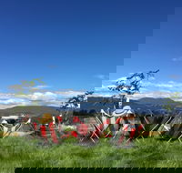 Red Feet Wines - Accommodation Whitsundays