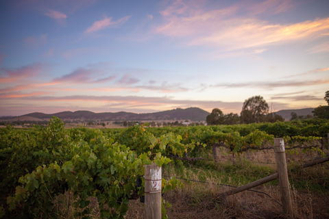 Thistle Hill Wines - Accommodation Whitsundays 2