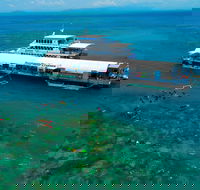 Cartel Coffee - Brisbane CBD - Accommodation Whitsundays