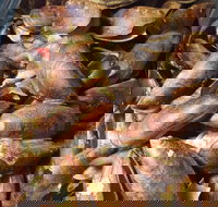 Pacific Eats - Accommodation Whitsundays