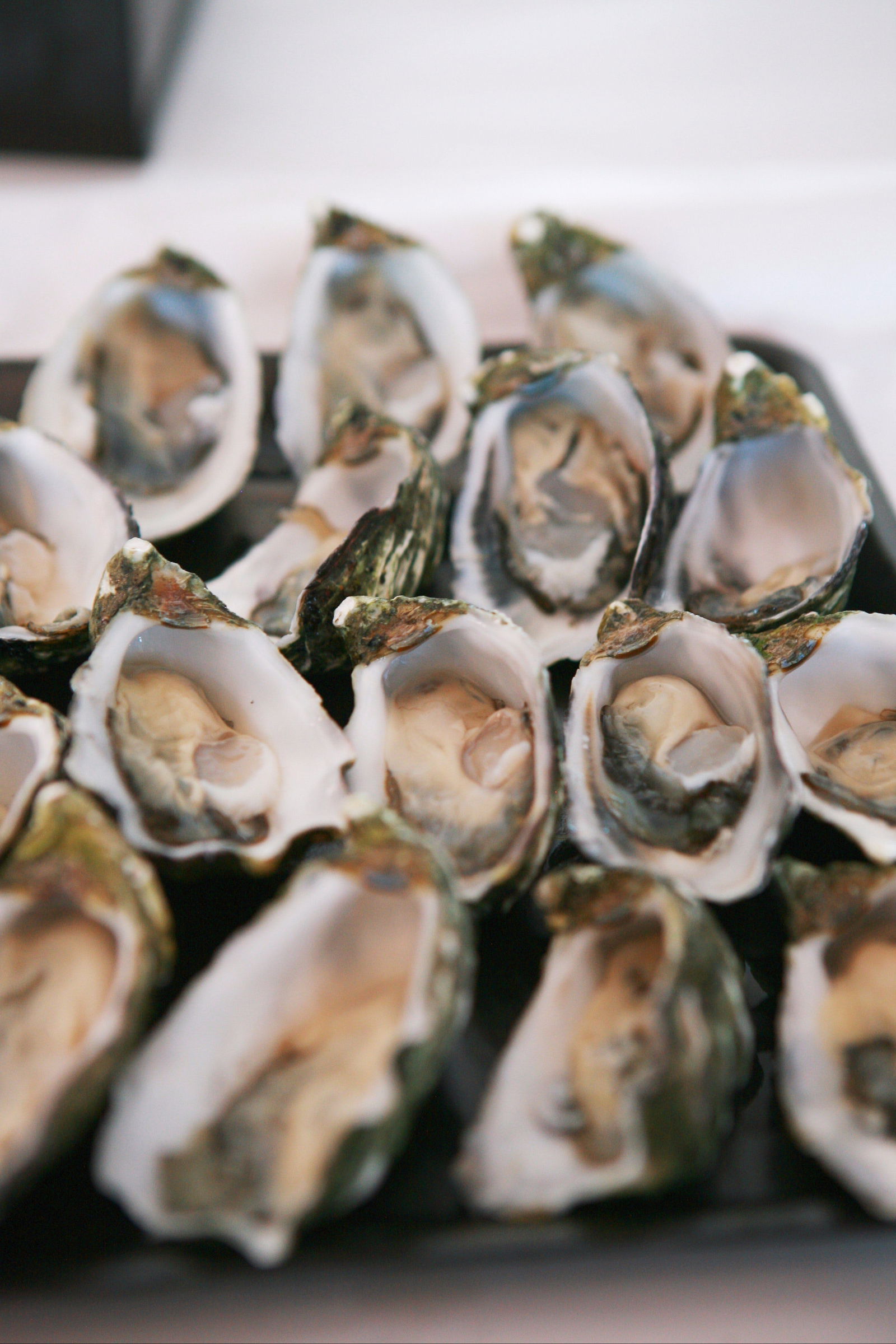 Telowie SA Accommodation Whitsundays