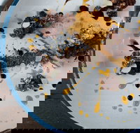 The Kettle  Tin - Accommodation Whitsundays