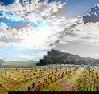 Fallen Giants Vineyard - Accommodation Whitsundays