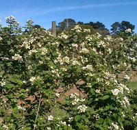 Huntley Berry Farm - Accommodation Whitsundays