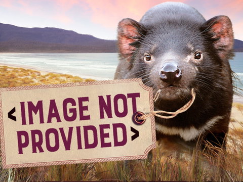 Earthy Eats - Accommodation Whitsundays 0