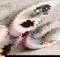 Gelatissimo - Artarmon - Accommodation Whitsundays