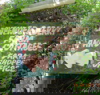 Lavender and Berry Farm Cafe - Accommodation Whitsundays