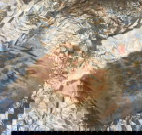 Mad Mex Fresh Mexican Grill - Accommodation Whitsundays