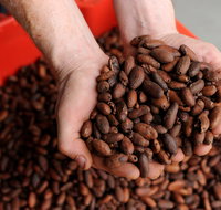Zokoko Chocolate and Espresso Cafe - Accommodation Whitsundays