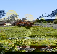 djinta djinta Winery - Accommodation Whitsundays