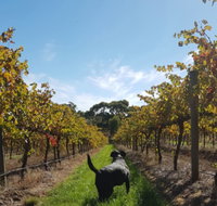 Ruddenklau Wines - Accommodation Whitsundays