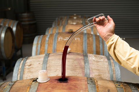 Herbert Vineyard Cellar Door - Accommodation Whitsundays 1