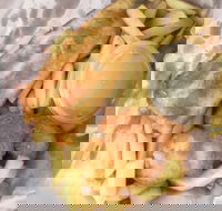 JFC - Accommodation Whitsundays