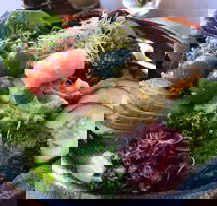 Local Folk - Accommodation Whitsundays