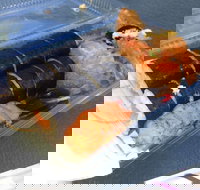 Mr Sushi - Accommodation Whitsundays