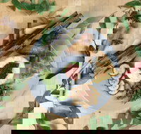 Nasi Society - Accommodation Whitsundays