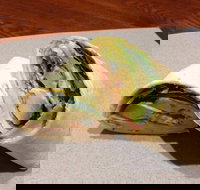 Wrap N Roll - Helensvale - Accommodation Whitsundays