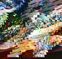 Luxe Fish - Accommodation Whitsundays