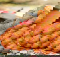 Mathoura Mandarins - Accommodation Whitsundays