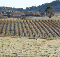 Patina Wines - Accommodation Whitsundays