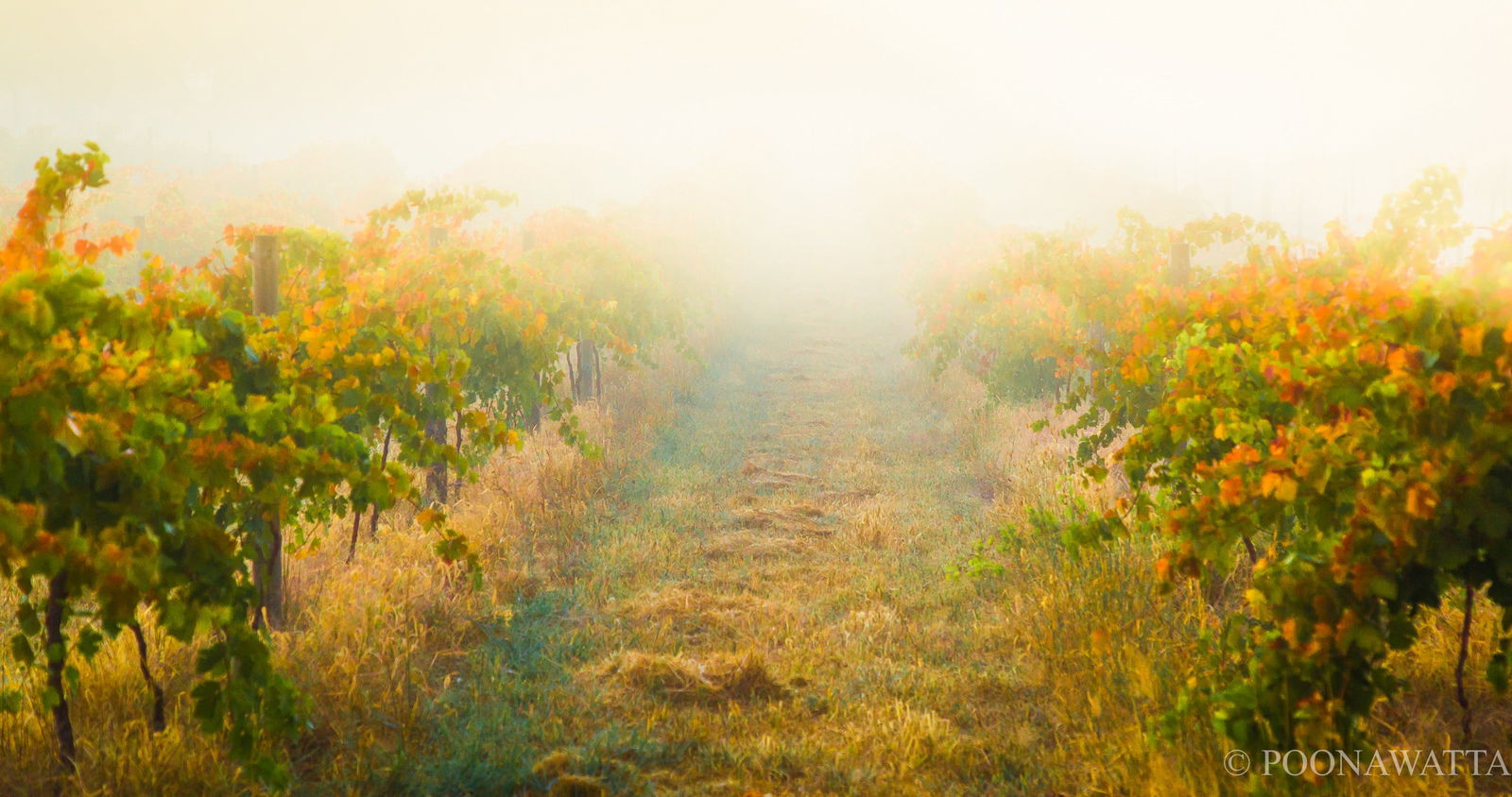 Flaxman Valley SA Accommodation Whitsundays