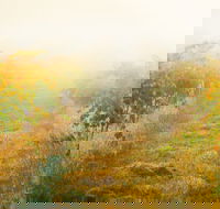 Poonawatta - Accommodation Whitsundays