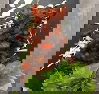 Royal India Restobar - Accommodation Whitsundays