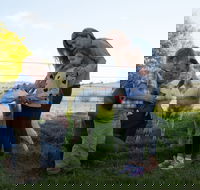 Sunhill Dairy Goats and Sunhill Skin Essentials - Accommodation Whitsundays