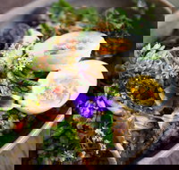 Wilde Kitchen - Accommodation Whitsundays