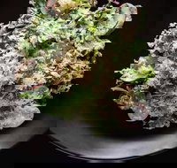 Arthur Waterhouse Lounge - Accommodation Whitsundays