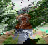 Cherryhill Orchards - Accommodation Whitsundays