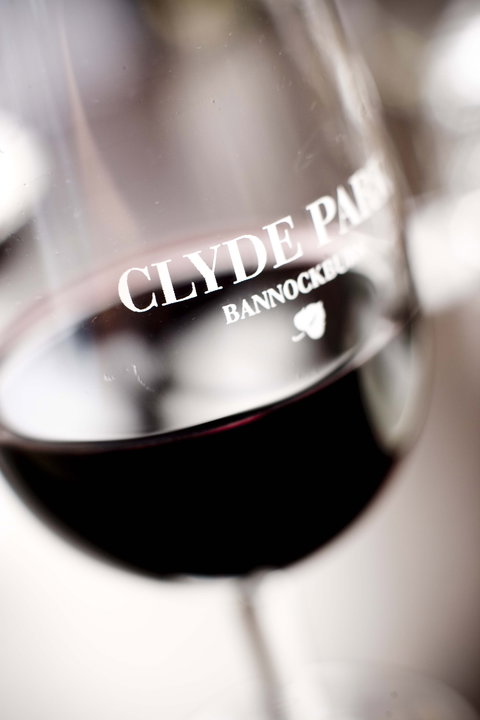 Clyde Park Vineyard & Bistro - Accommodation Whitsundays 0