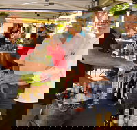 Faulls Ridge Winery - Accommodation Whitsundays