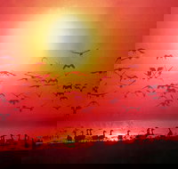 Four Birds - Accommodation Whitsundays