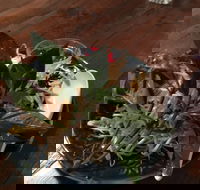 Hanoi on Manning - Accommodation Whitsundays