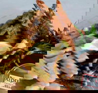 Redfish Fish Chips  Grill - Accommodation Whitsundays