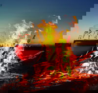 Black Dog Brewery - Accommodation Whitsundays