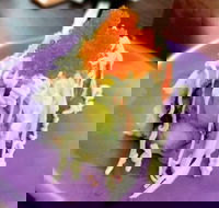 Oishi Ya - Accommodation Whitsundays