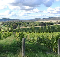 Sassy Wines - Accommodation Whitsundays