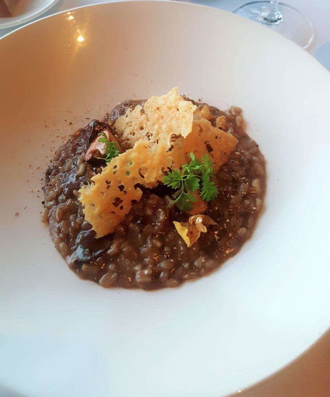 Wild Dog Restaurant - Accommodation Whitsundays 0