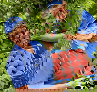 Willayoung Orchard - Accommodation Whitsundays