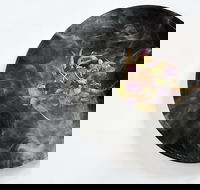 Atta - Accommodation Whitsundays