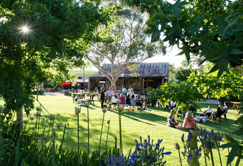 Barristers Block Premium Wines - Accommodation Whitsundays 0