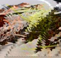 Rising Sun Hotel - Accommodation Whitsundays