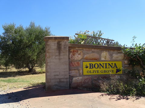 Bonina Olive Grove - Accommodation Whitsundays 1