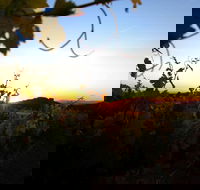 Glenbosch Wine Estate - Accommodation Whitsundays