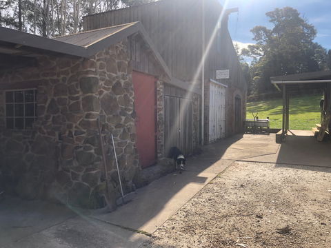 Wilmot Hills Orchard & Distillery - Accommodation Whitsundays 1