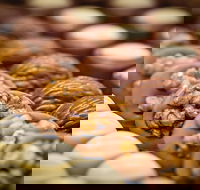 Challys Bar and Bistro - Accommodation Whitsundays